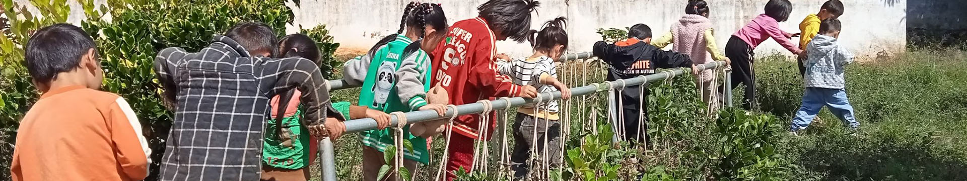 网站banner